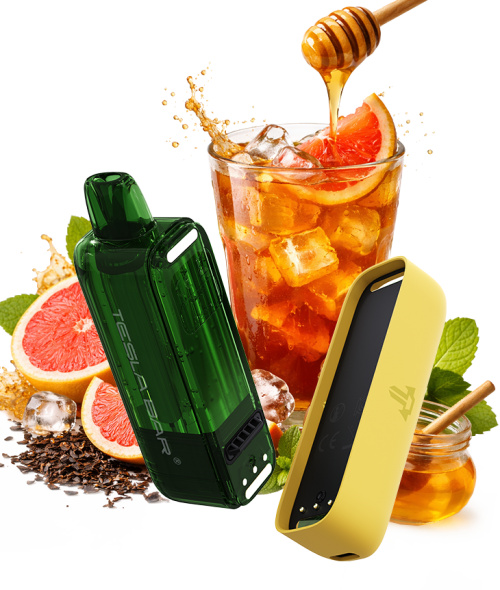 테슬라바 NEOFIT 네오핏 KIT 킷 일회용 자허블