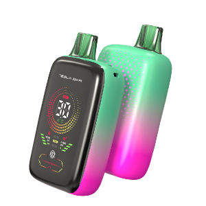 테슬라바 XT-25000 일회용 마이애미민트