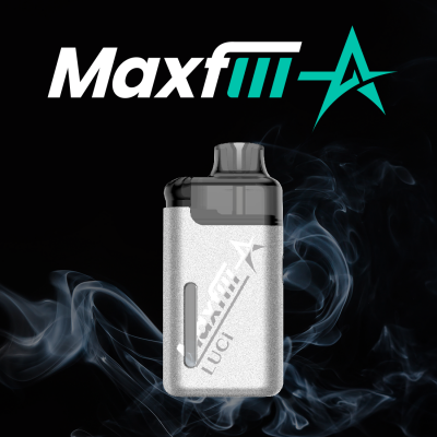 맥스필래 입호흡 기기 실버